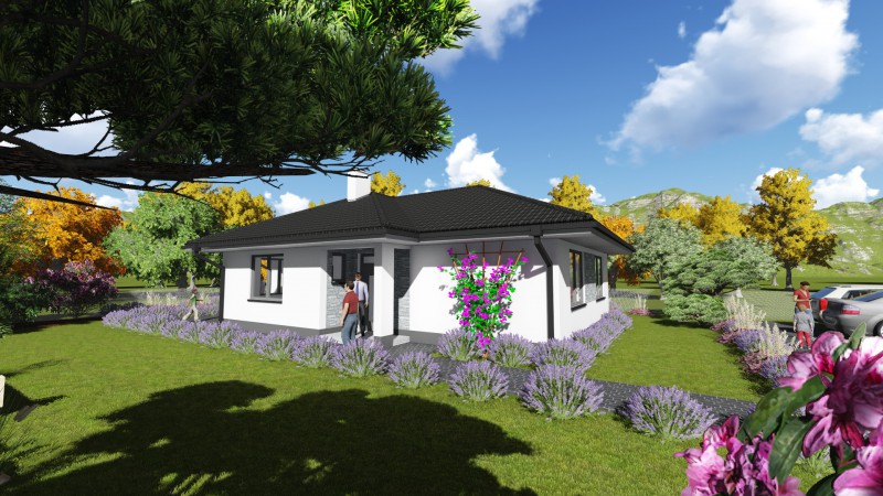 Bungalov L21.